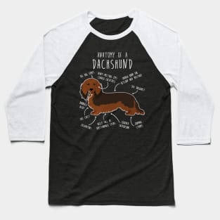 Longhaired Sable Dachshund Dog Anatomy Baseball T-Shirt